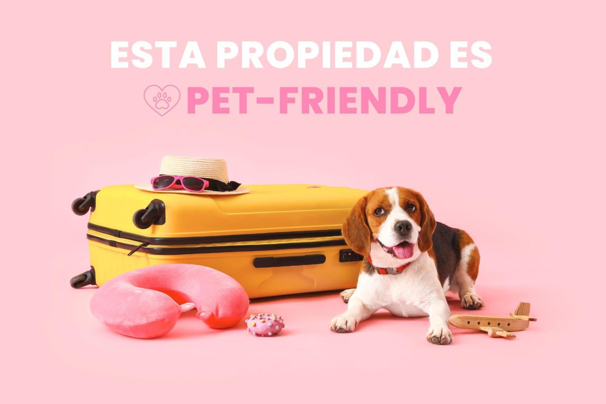Andbnb I Refugio Amplio Y Acogedor I A 9 Min Del Telesilla *